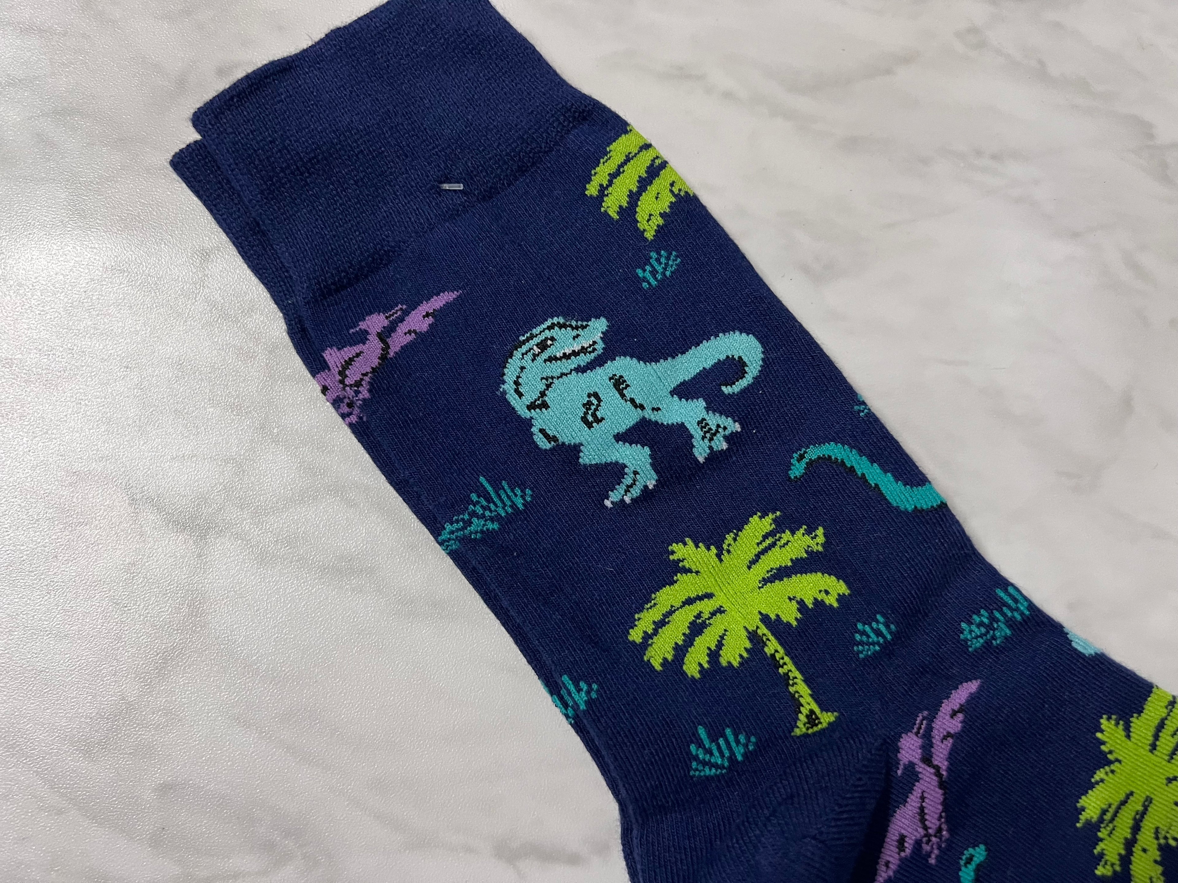 DINOSAUR SOCKS