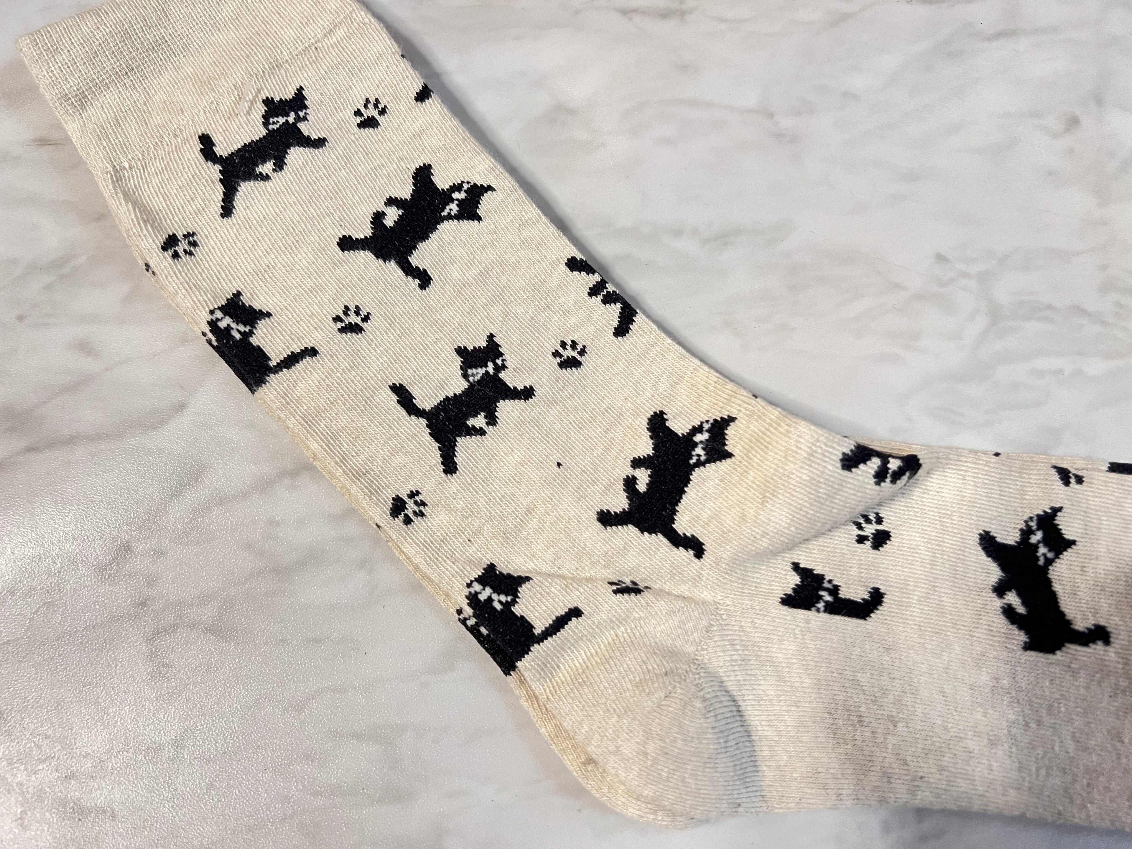 CAT SOCKS