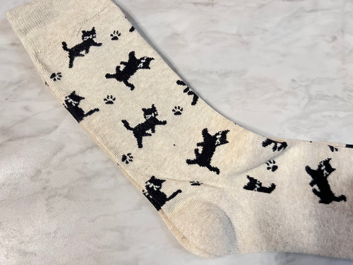 CAT SOCKS